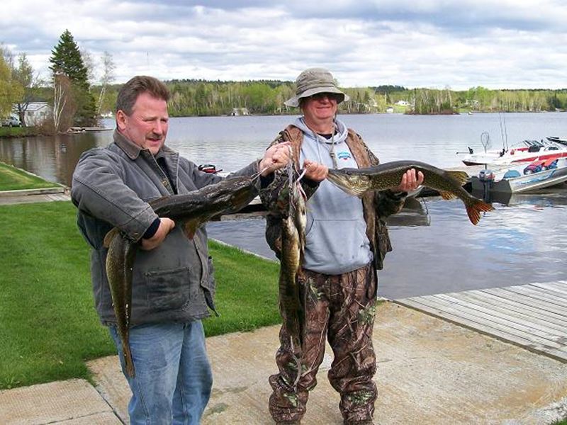 Quicks Gowganda Lake Camp Gowganda, Northeast Ontario, Ontario