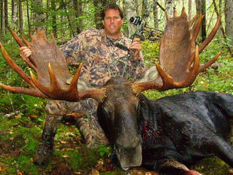 Archery Moose Hunting Packages, Kenora, Red Lake, Dryden, Sioux Lookout
