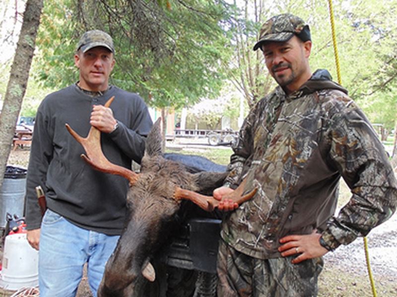 Archery Moose Hunting Packages, Kenora, Red Lake, Dryden, Sioux Lookout