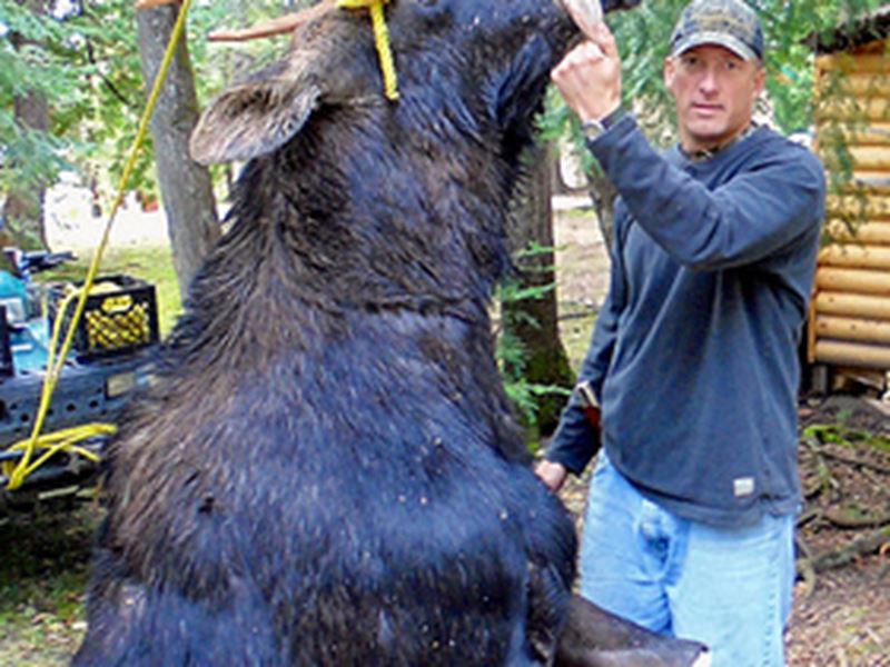 Archery Moose Hunting Packages, Kenora, Red Lake, Dryden, Sioux Lookout