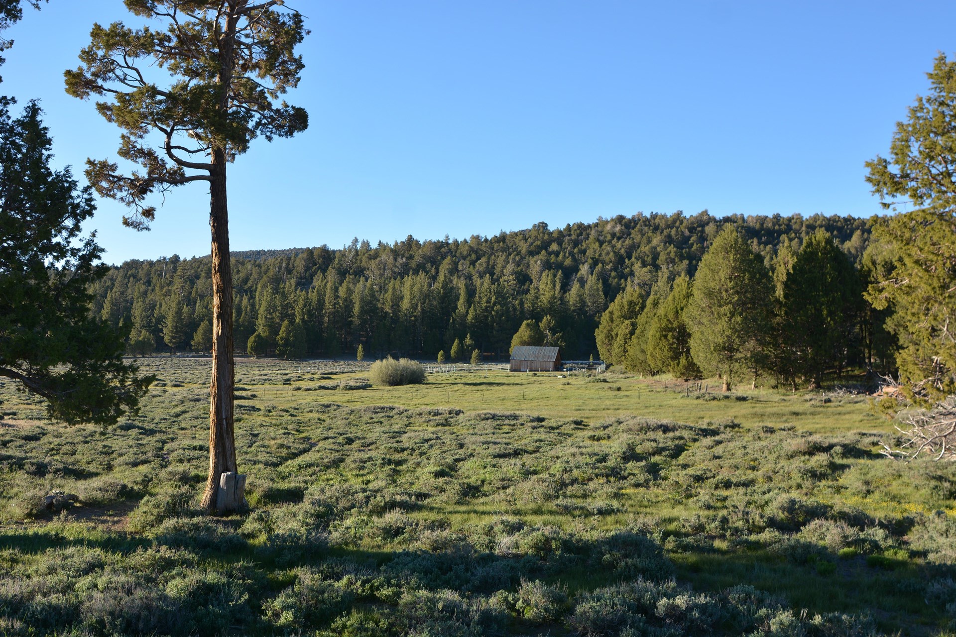Valley Ranch Big Bear Lake, California
