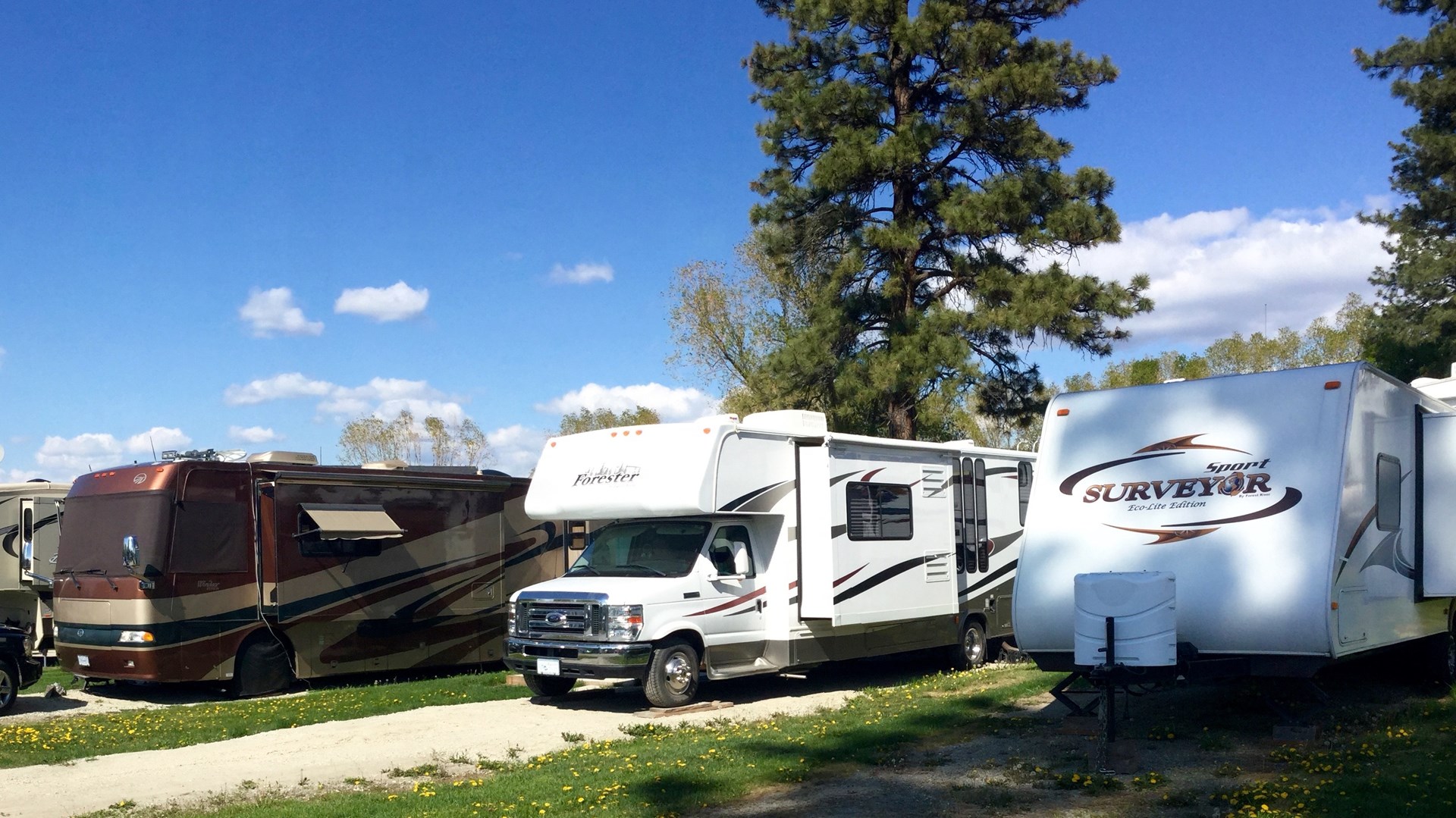 Mount Baker RV Park Cranbrook, British Columbia