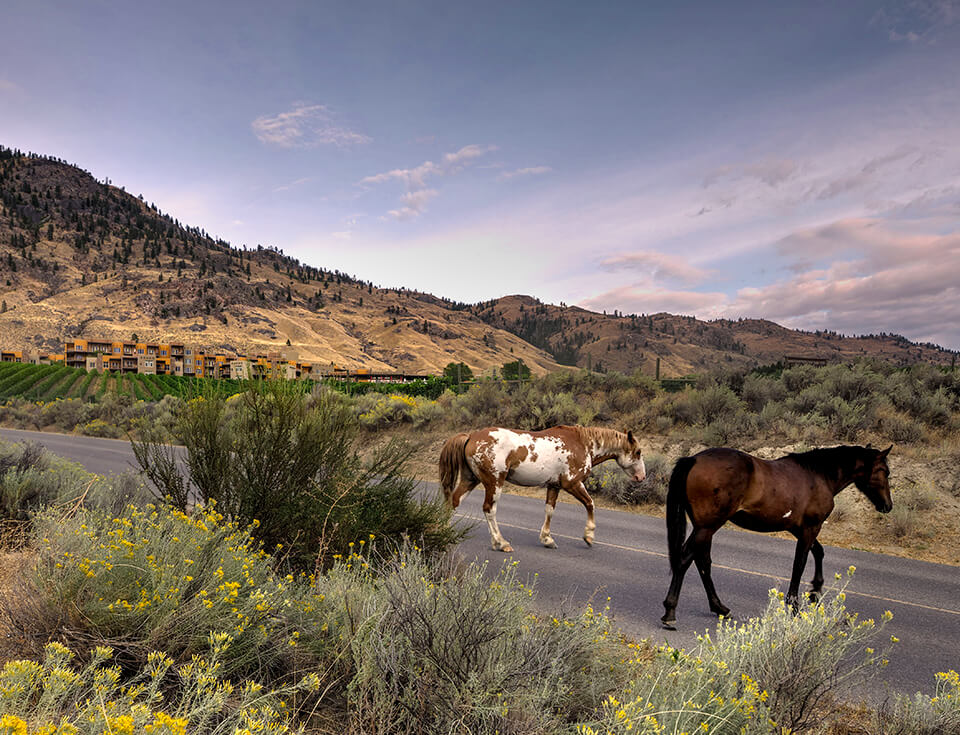 Nk'Mip (Inkameep) Campground & RV Park Osoyoos, British Columbia