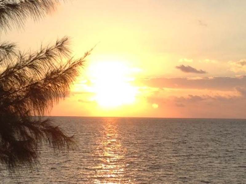 Shirley's Guest House