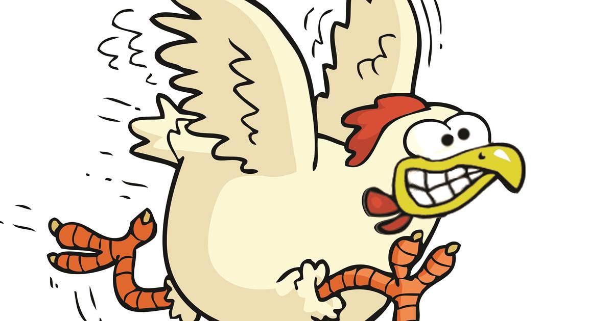 Chicken Run Storage/ RV rentals New Market, Virginia