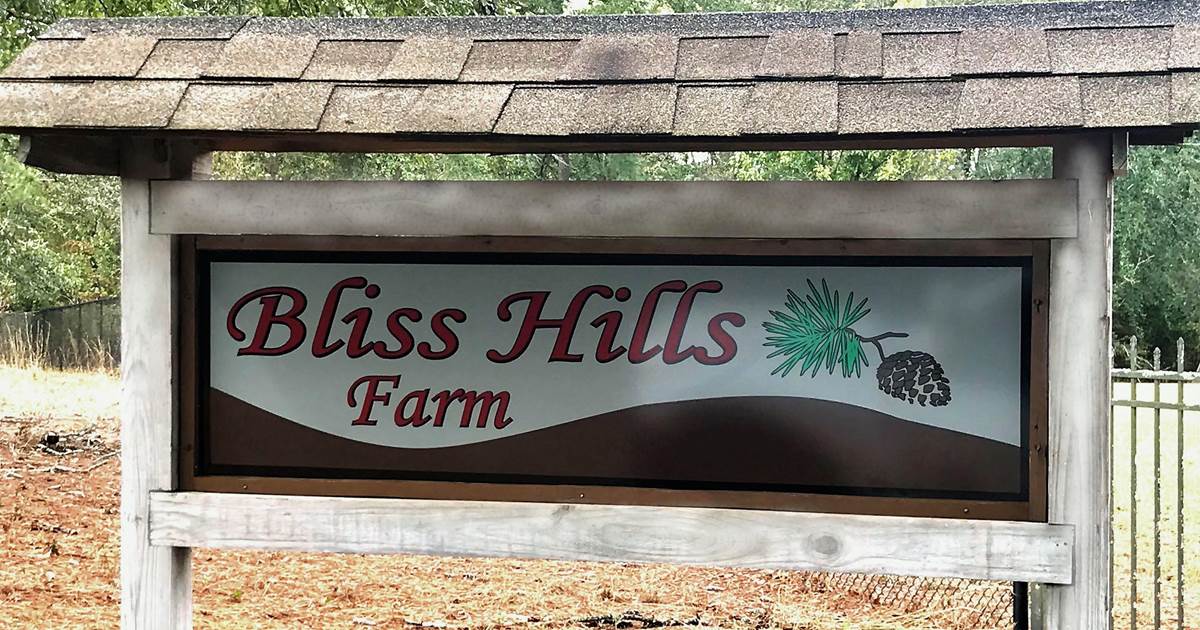 Bliss Hills Farm Claxton,