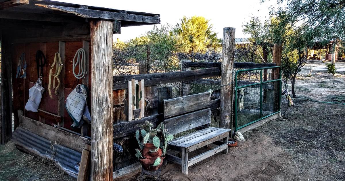 Private RV Space Tucson AZ Three Points, Arizona