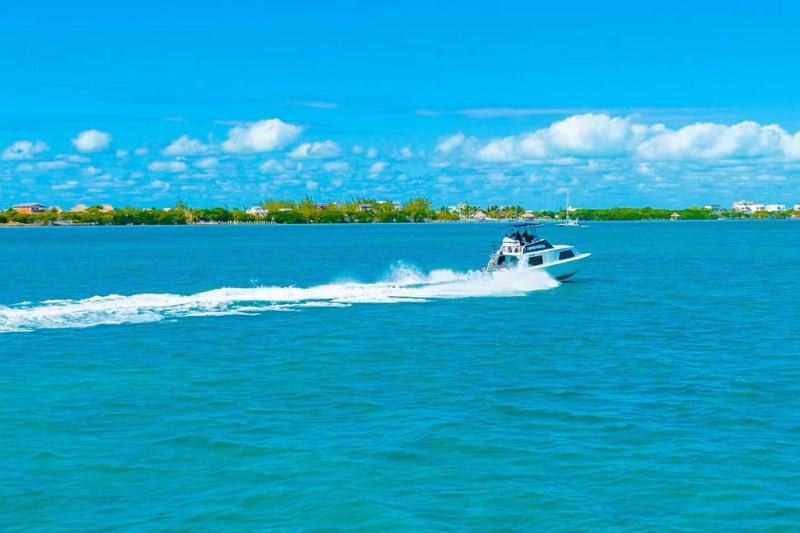 Photo Credit: Caribbean Sprinter