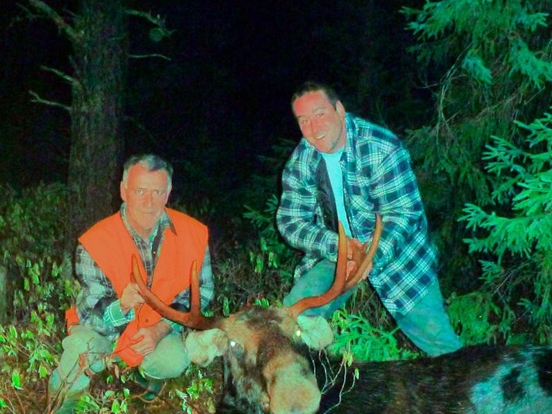 Archery Bull Moose Hunt Package, Hearst, Chapleau, Cochrane, Timmins