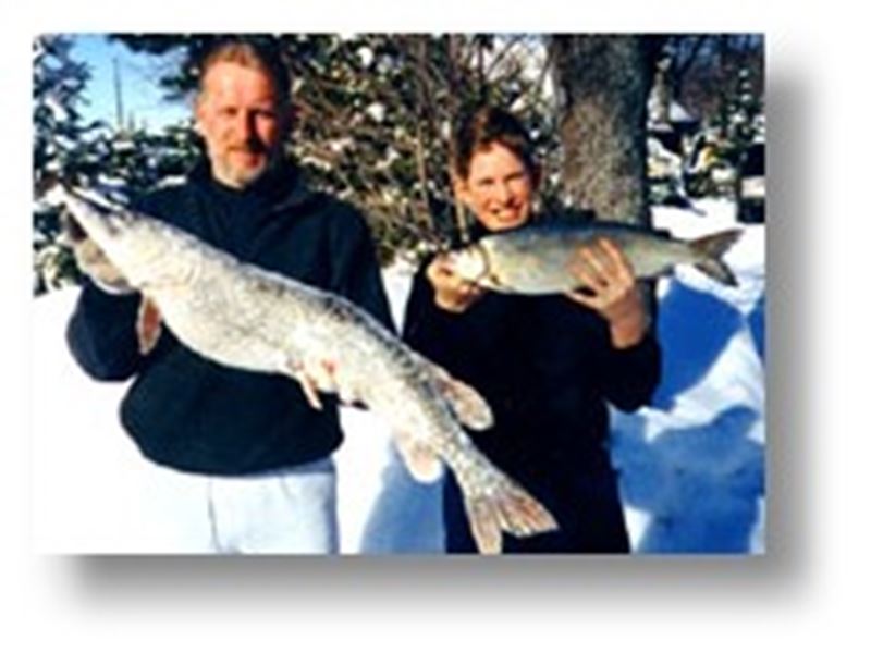 Cosy Cove Cottages, North Bay and Lake Nipissing, Ontario