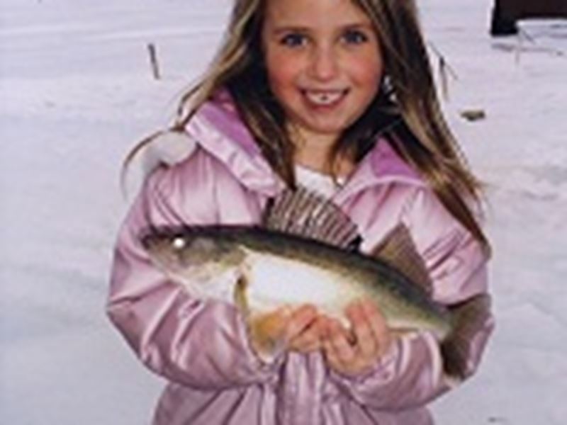 Cosy Cove Cottages, North Bay and Lake Nipissing, Ontario