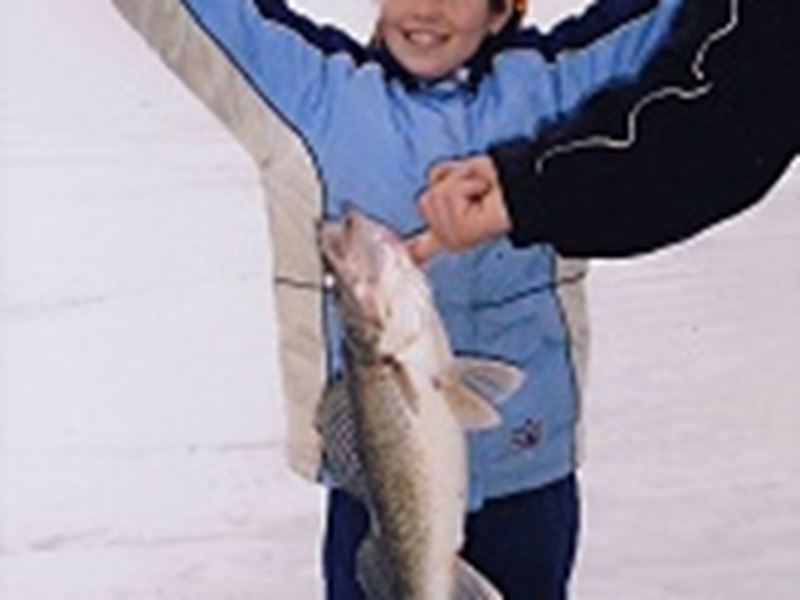 Cosy Cove Cottages, North Bay and Lake Nipissing, Ontario