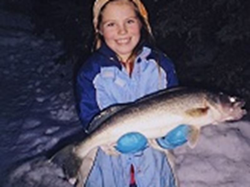 Cosy Cove Cottages, North Bay and Lake Nipissing, Ontario